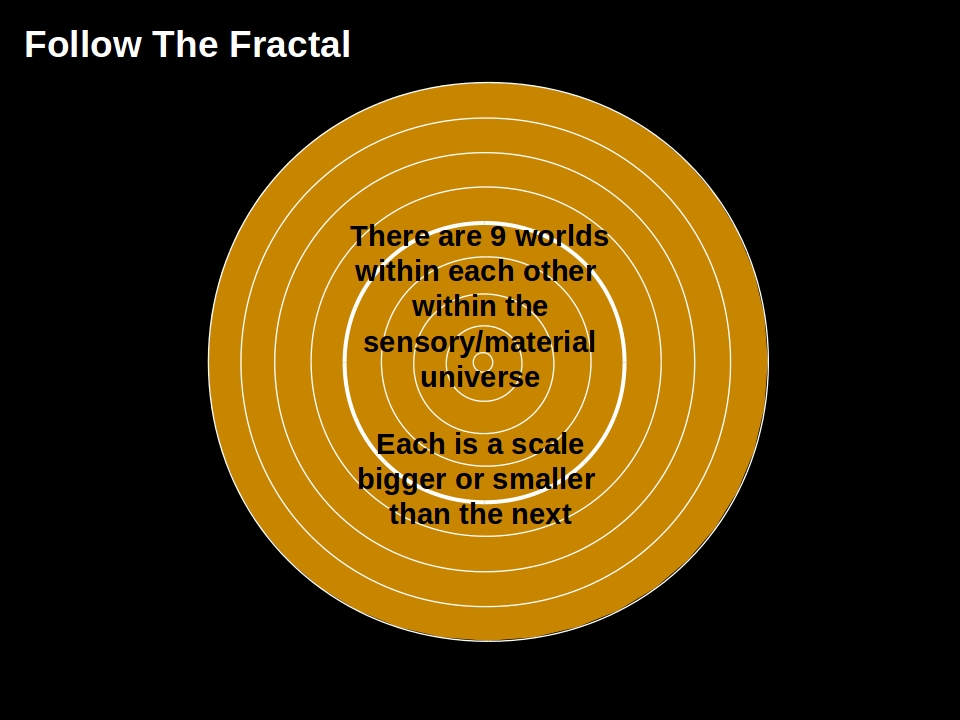 Follow The Fractal
